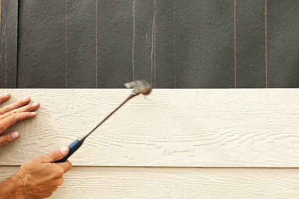Affordable Siding Repair and Maintenance Services in Wade Hampton, SC